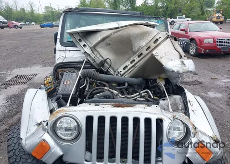 2003 Jeep Wrangler X из США, поврежденный, VIN 1J4FA39S13P363135